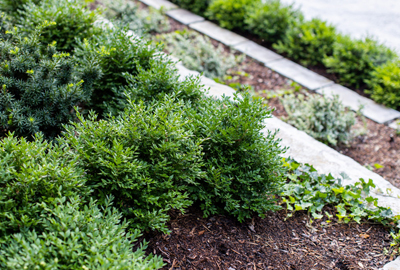 Refined image lawn and landscape, softscapes, snow & ice, lawn cutting & maintenance, residential & commercial lawn care, dunnville, ON